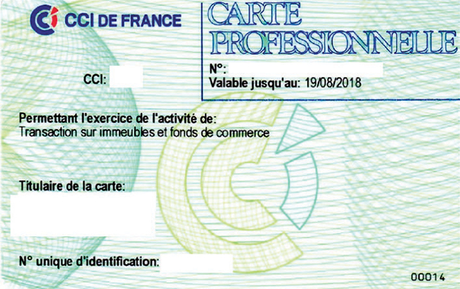 carte professionnelle de syndic